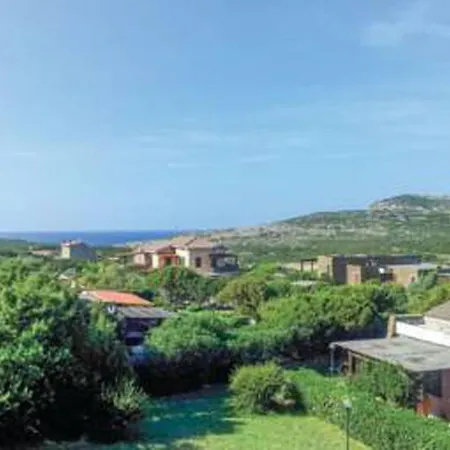 Falcone In Stintino