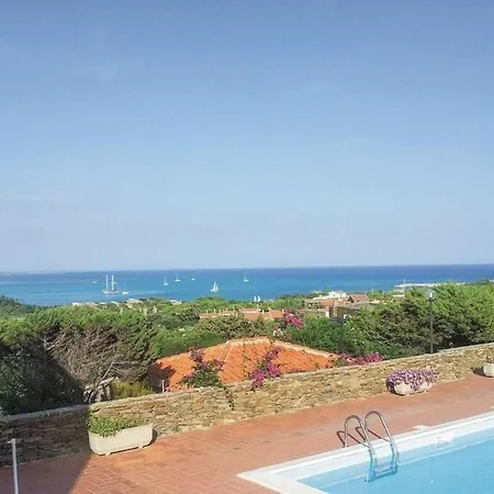 Falcone In Apartment Stintino