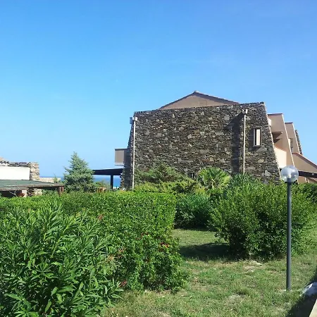 Falcone In Stintino