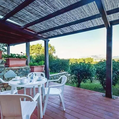 Falcone In Apartment Stintino